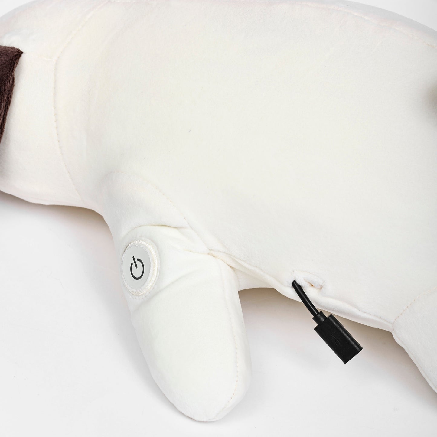 Heated AirPulse Pup