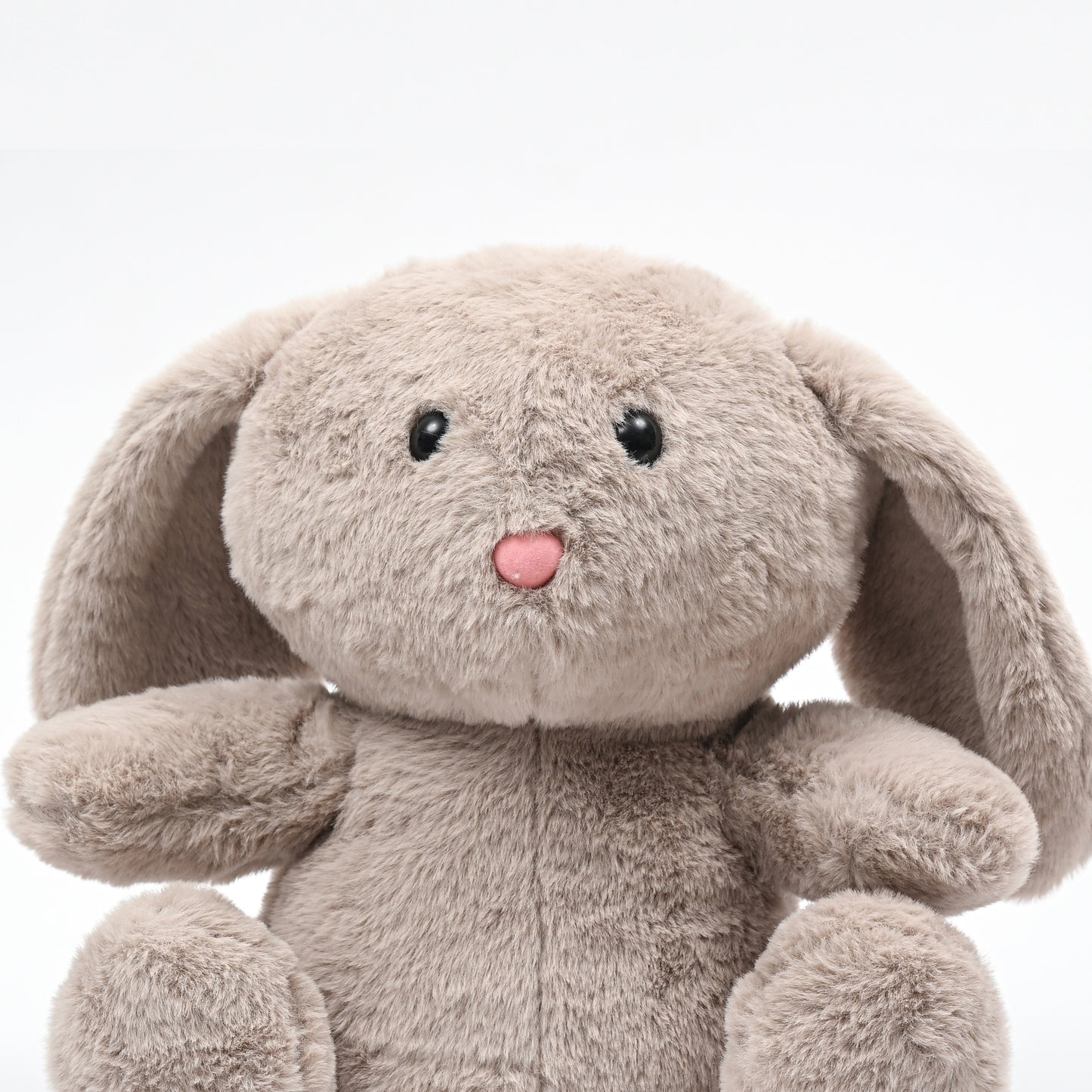 Hops the Rabbit