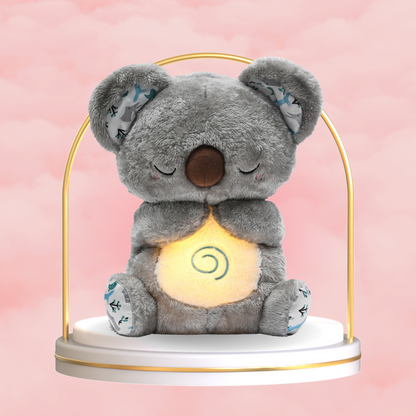 Archie the Koala