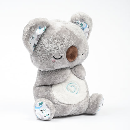 Archie the Koala