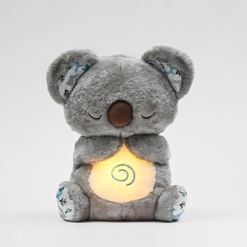 Archie the Koala
