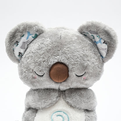 Archie the Koala